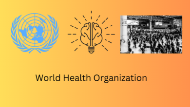 Photo of विश्व स्वास्थ्य संगठन ने इथियोपिया में शिशुओं के उपचार हेतु आयोजित किया अंतर्राष्ट्रीय कार्यशाला