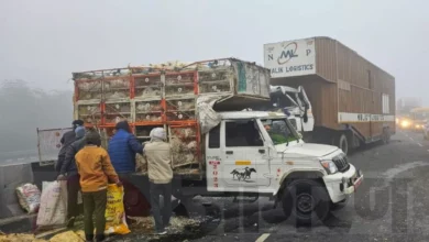 Photo of Agra Accident News :कोहरे में टकराया वाहन तो मुर्गे लूटने की मच गई होड़, गाड़ी में भरे थे डेढ़ लाख के मुर्गे