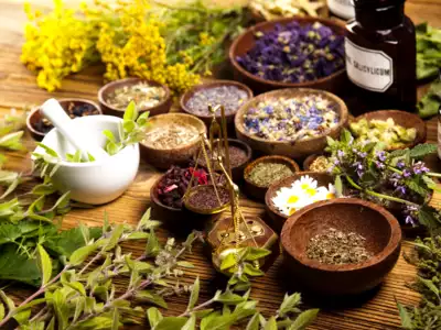 Immunity Boost During Monsoon Season: Increase your immunity during monsoon season, then definitely eat these 8 natural herbs.