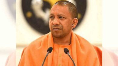 UP News: Construction and development of cow protection centers will be ensured in 15 districts of UP.