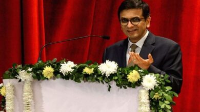 Chief Justice advised SEBI: CJI said SEBI and SAT should be cautious about the ongoing boom in the stock market