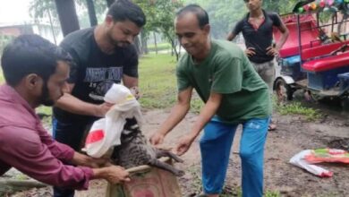 Kathmandu News: After hearing the writ, there is disagreement among the judges on the decision, the decision will come from the larger bench