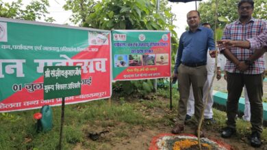 Balrampur News: On Van Mahotsav week, massive tree plantation took place in tehsils and development blocks in the entire district.