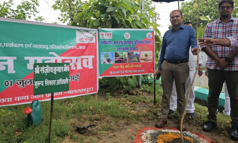 Balrampur News: On Van Mahotsav week, massive tree plantation took place in tehsils and development blocks in the entire district.