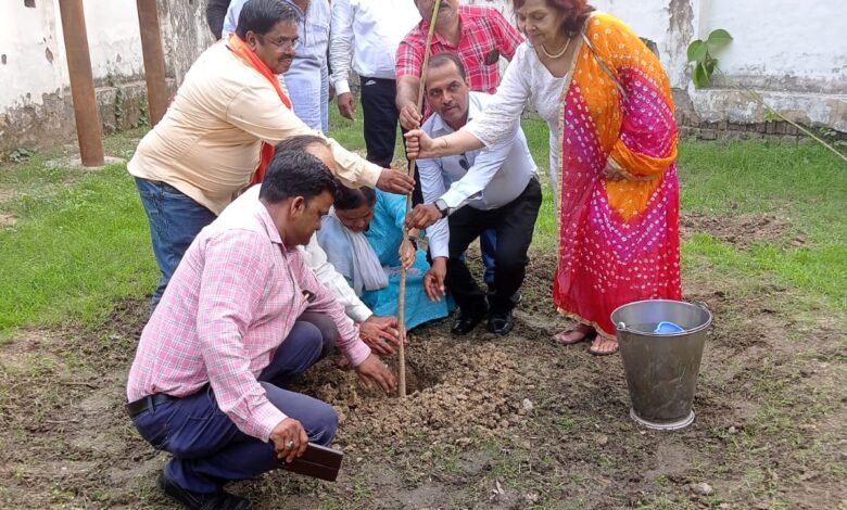 Planting trees reduces pollution, makes life safe - everyone should plant trees.