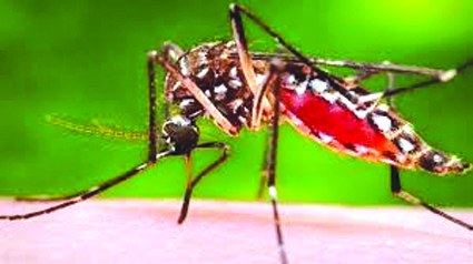 Uttarakhand: Threat of dengue increased in Haridwar, six patients confirmed so far