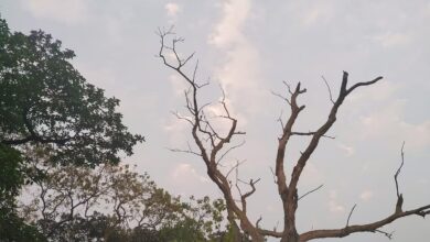West Bengal: On the occasion of Deepawali, the weather is clear in Kolkata and other districts of West Bengal, there is no possibility of rain