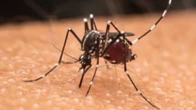 Gujarat: 75-year-old man found infected with Zika virus in Gandhinagar