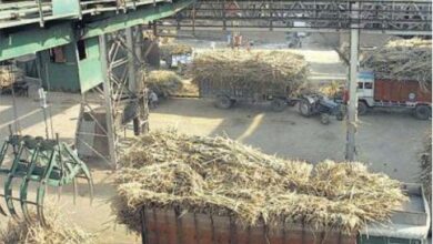 Lakhimpur: Case registered against 8 officers and employees of Khambarkheda sugar mill for illegal sugarcane purchase