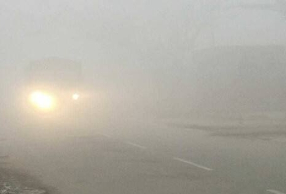 Shimla: Dense fog in Himachal, visibility reached 20 meters in Bilaspur and Mandi