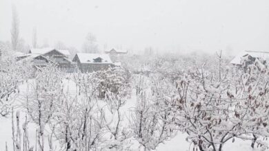 Photo of Jammu- Kashmir: कश्मीर के मैदानों में हुई मौसम की पहली बर्फबारी, श्रीनगर-लेह राजमार्ग बंद