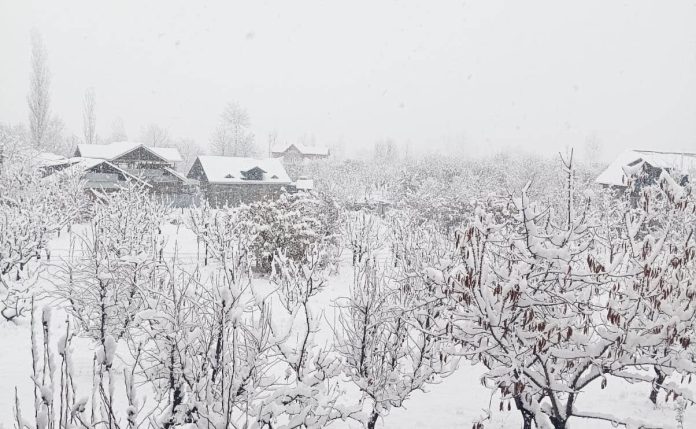 Jammu-Kashmir: First snowfall of the season in the plains of Kashmir, Srinagar-Leh highway closed