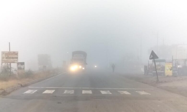 Bhopal: New year started with severe cold in Madhya Pradesh, dense fog in Bhopal-Ujjain