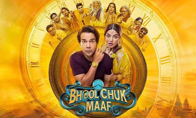 Bhool Chook Maaf leaked online: 'Bhool Chook Maaf' leaked online, makers got a big shock