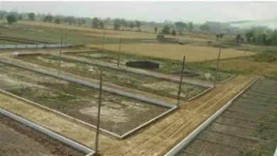 Prayagraj news: Land mafias created a stir due to fraud of 88 bigha government land, FIR registered against six