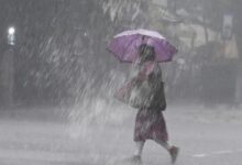 Lucknow: In view of the storm, rain, hailstorm and lightning, the Chief Minister directed the officials of the concerned districts to carry out relief work with full promptness.