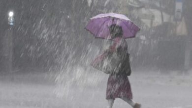 Lucknow: In view of the storm, rain, hailstorm and lightning, the Chief Minister directed the officials of the concerned districts to carry out relief work with full promptness.