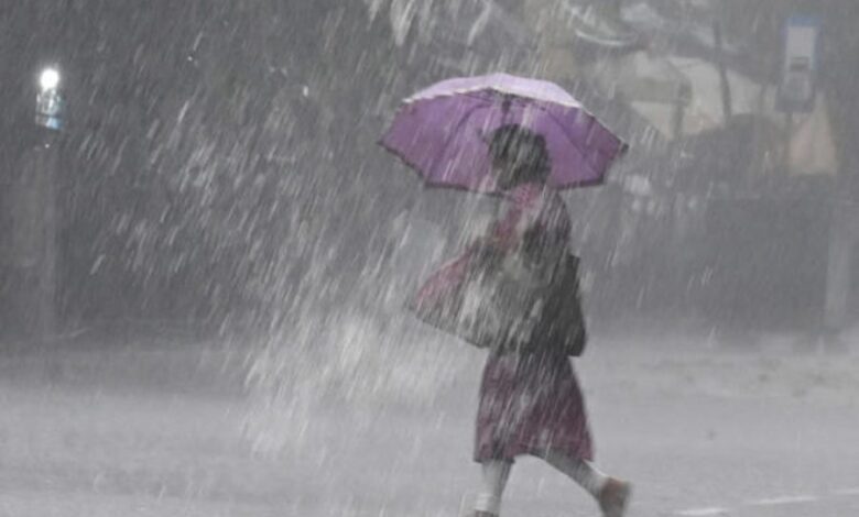 Lucknow: In view of the storm, rain, hailstorm and lightning, the Chief Minister directed the officials of the concerned districts to carry out relief work with full promptness.