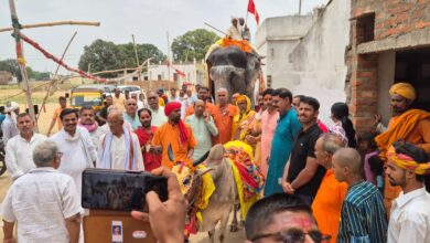 Prayagraj News: Grand Kalash Yatra and Kalash Sthapana program organized on the birth anniversary of Shri Sudisht Baba Maharaj