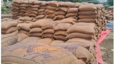 Naini News: Thousands of sacks of wheat got wet due to the strong storm and rain last night