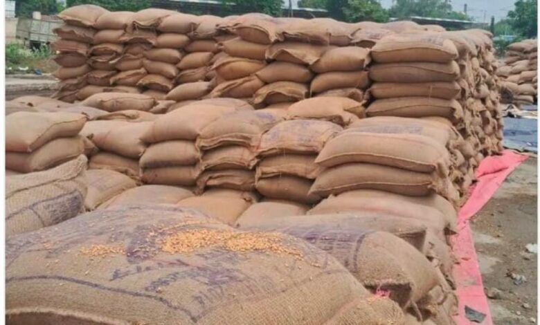 Naini News: Thousands of sacks of wheat got wet due to the strong storm and rain last night