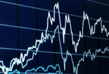 Sigachi Industries shares: Sigachi Industries shares rise amid stock market decline, know the reason