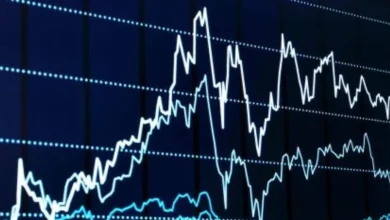 Sigachi Industries shares: Sigachi Industries shares rise amid stock market decline, know the reason