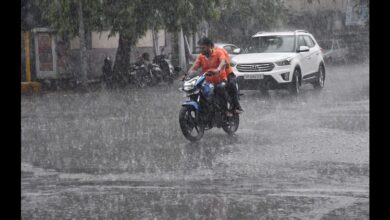 Lucknow Monsoon Update: Monsoon arrives in Lucknow, Municipal Corporation takes precautionary measures