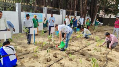 Prayagraj News: Tree plantation done by Prayagraj Mandal during "World Environment Day Fortnight"