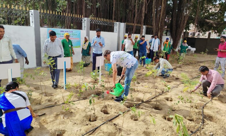Prayagraj News: Tree plantation done by Prayagraj Mandal during "World Environment Day Fortnight"