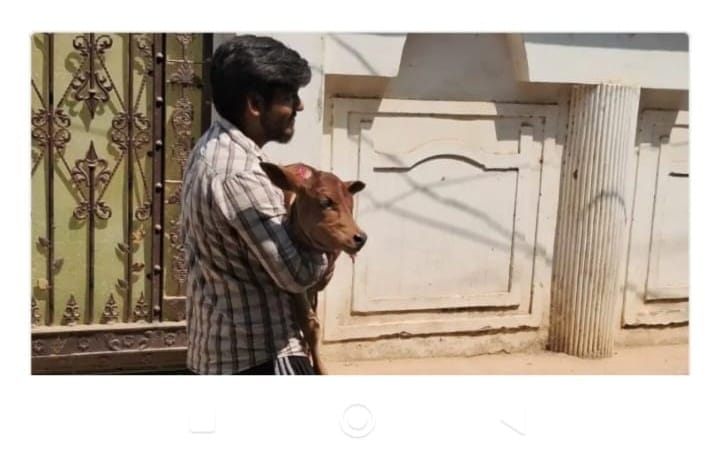 Prayagraj News: Preparations to slaughter cows before Bakrid in Prayagraj, Naini police caught 7 people in the raid, rescued cows and buffaloes and calves