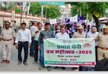 Van Mahotsav 2025: Message of awareness by taking out Prabhat Ferry