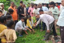 Sonbhadra news: Plantation campaign conducted in a dozen villages: Sandeep Mishra