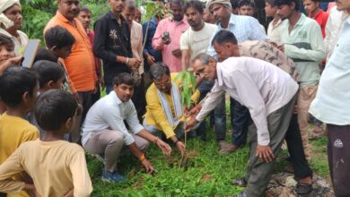 Sonbhadra news: Plantation campaign conducted in a dozen villages: Sandeep Mishra