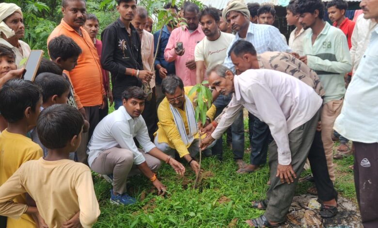 Sonbhadra news: Plantation campaign conducted in a dozen villages: Sandeep Mishra