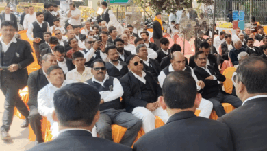 Prayagraj High Court Bar Association Election: On the second day of nomination, candidates flocked to various posts