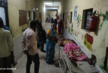 Sonbhadra news: Grandmother and granddaughter died during treatment due to bee attack