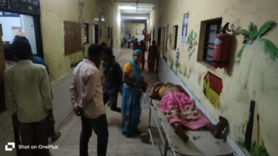 Sonbhadra news: Grandmother and granddaughter died during treatment due to bee attack