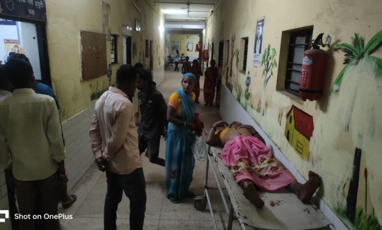 Sonbhadra news: Grandmother and granddaughter died during treatment due to bee attack