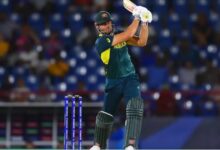 New Zealand T20Is: Marcus Stoinis returns to Australian T20 team, selected for New Zealand series