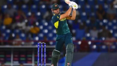 New Zealand T20Is: Marcus Stoinis returns to Australian T20 team, selected for New Zealand series