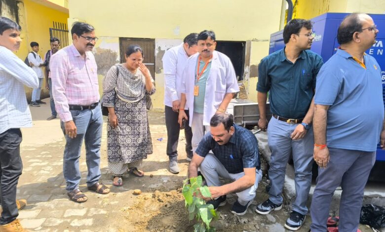 Sultanpur news: Peepal tree replanted in the Autonomous Government Medical College campus