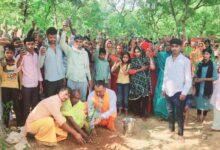 Sonbhadra News: Trees are Life, Campaign reaches 415 villages, plants nearly 75,000 trees