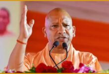 Cm Yogi