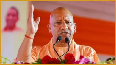 Cm Yogi