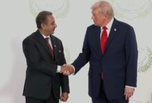 Cairo: Kirti Vardhan attends peace summit