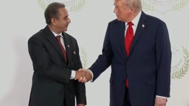 Cairo: Kirti Vardhan attends peace summit