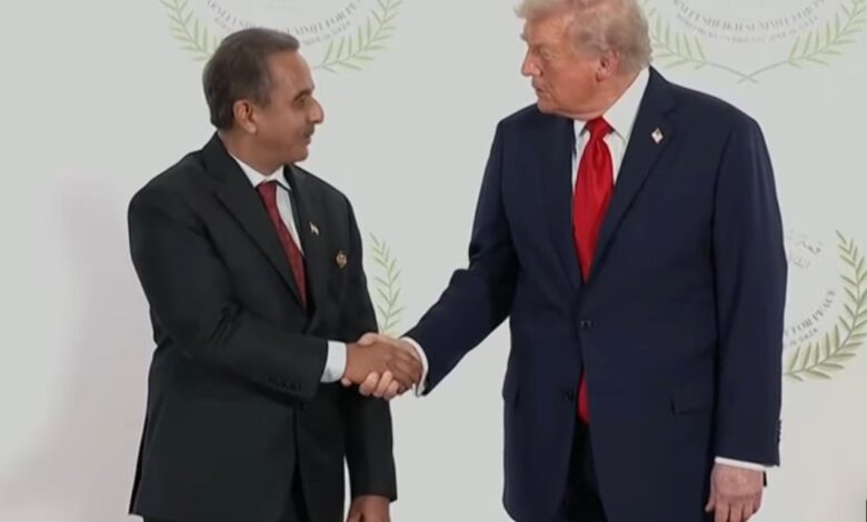 Cairo: Kirti Vardhan attends peace summit