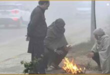 UP Weather Update, Lucknow Weather, IMD Forecast, Uttar Pradesh Fog Alert, UP Temperature Today, Lucknow Maximum Minimum Temperature, UP Dry Weather, IMD Press Note, Mausam App, UP Weather News