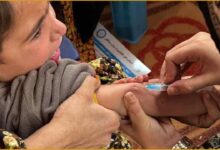 WHO, खसरा, Measles Outbreak, Global Health, Vaccination Crisis, Big Catch-Up Campaign, Kate O'Brian, Immunization, Children Health, Vaccine Coverage